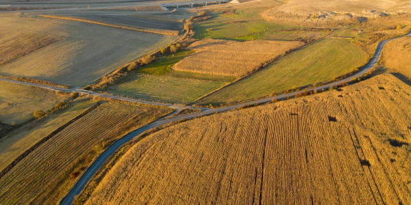 Delimitaciones de Terrenos agrícolas